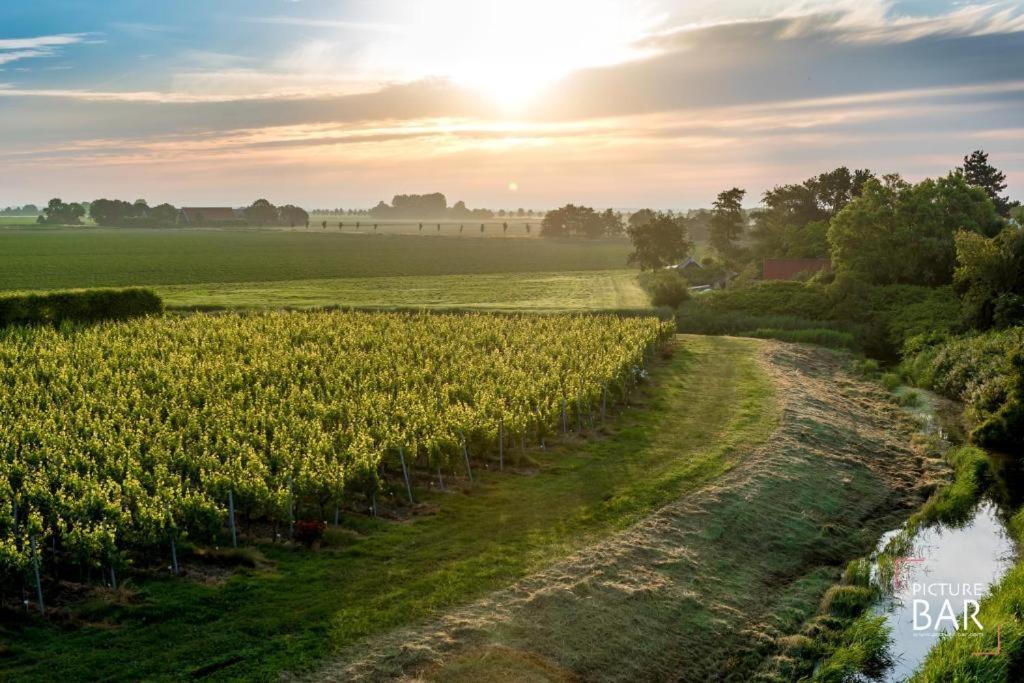 Wine-Barrel Rivaner Dreischor Exterior foto